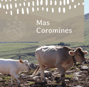 Quins productes puc comprar a La Feixa? 71 Mas Les Coromines