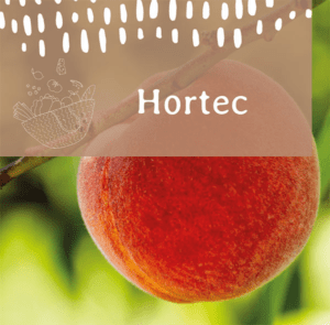 Quins productes puc comprar a La Feixa? 67 hortec